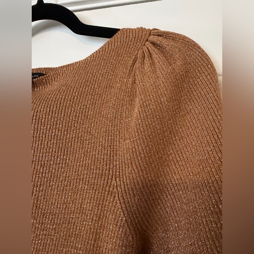 NWT Ann Taylor metallic blouson sweater - Picture 9 of 11